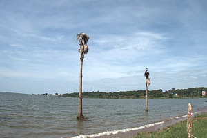 Waterfront Beach 5