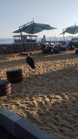 Spennah Beach 4
