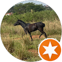 attractions-reviews-avatar