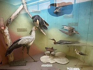 Uganda Museum 5