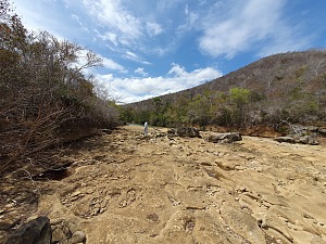 阿纳拉梅拉纳特别保护区 3
