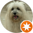 attractions-reviews-avatar