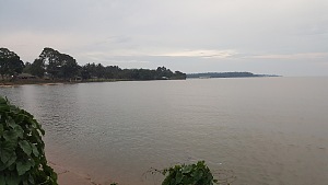 Kitubulu 3