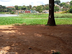 Kabaka's Lake 5