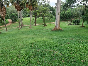Waterfront Beach 2