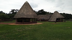 Ngamba 3