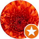 attractions-reviews-avatar