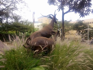 Impala Monument 2
