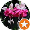 attractions-reviews-avatar