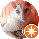 attractions-reviews-avatar