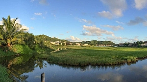 Kawuku-Kakindo Wetland 3