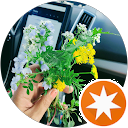 attractions-reviews-avatar