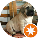 attractions-reviews-avatar