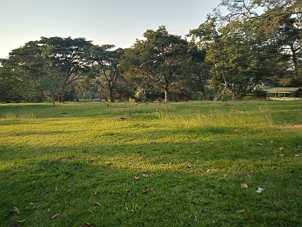 Entebbe Botanical Garden