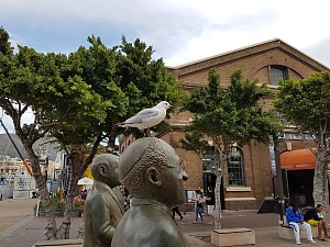 诺贝尔广场 5