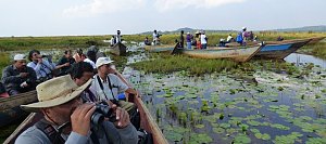 Kawuku-Kakindo Wetland 2