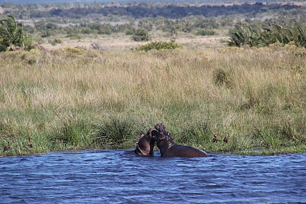 iSimangaliso Wetland Park
