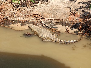 iSimangaliso Wetland Park 2