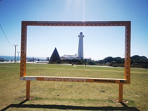 唐金保护区 4