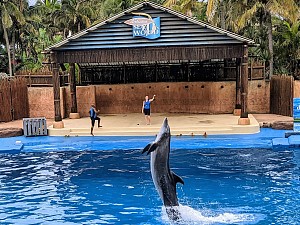 乌沙卡海洋世界 4