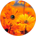 attractions-reviews-avatar