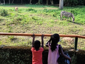Uganda Wildlife Education 4
