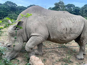Uganda Wildlife Education 3