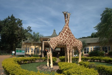 Uganda Wildlife Education photo 1