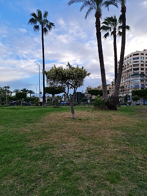 阿尔沙拉拉特公园 3
