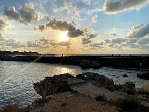 茶岛 3