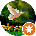 attractions-reviews-avatar