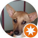 attractions-reviews-avatar