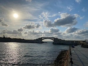 茶岛 4
