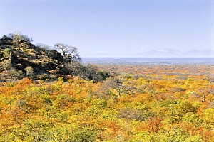 林波波利帕迪野生动物和荒野保护区 3