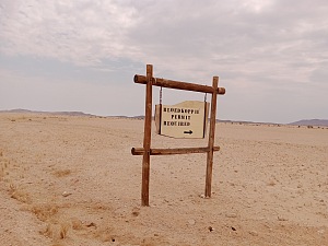 纳米布-诺克卢福国家公园  5