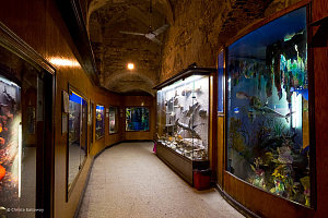 亚历山大水族馆 2