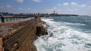 茶岛 2