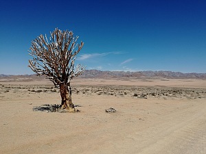 /Ai /Ais-Richtersveld Transfrontier Park 5
