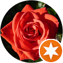 attractions-reviews-avatar