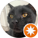 attractions-reviews-avatar