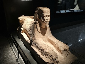 伊姆霍特普博物馆 4