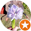 attractions-reviews-avatar