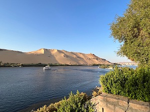 阿斯旺植物园 2