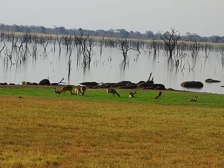 Kafue National Park