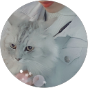 attractions-reviews-avatar