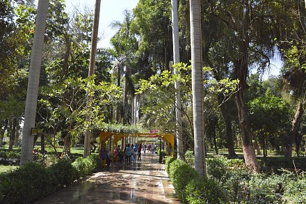 阿斯旺植物园
