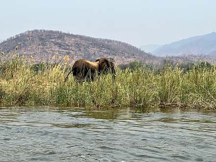 Lower Zambezi National Park