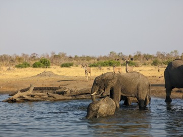 Hwange National Park photo 1