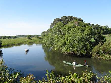 Kasanka National Park