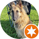 attractions-reviews-avatar